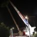 AYUNTAMIENTO DE PUEBLA PLANTA PALMERAS EN AVENIDA JUÁREZ Y PASEO BRAVO