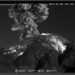 El Popocatépetl amanece con una explosión, emiten la alerta Amarillo Fase 2