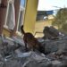 Sedena rescató a la primera persona con vida en Turquía