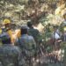 Combaten brigadas incendio forestal en Atzitzintla; no hay riesgo para población: Medio Ambiente