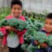 Consolida Bienestar Programa Integral Alimentario en el estado