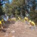 Fortalece Medio Ambiente acciones preventivas contra incendios forestales