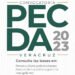 El Instituto Veracruzano de Cultura y el Sistema de Apoyos a la Creación abren la convocatoria PECDA 2023