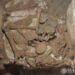 Exploraciones brindan hallazgos en las antiguas urbes mayas de Palenque, Moral-Reforma y El Tigre