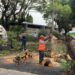 AYUNTAMIENTO DE PUEBLA ATIENDE OPORTUNAMENTE REPORTES POR LLUVIA