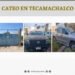 Por robo de vehículo con mercancía, FGE cateó inmueble en Tecamachalco