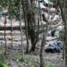 Descubren una estructura dedicada a Kukulcán durante los trabajos del Promeza en El Tigre, Campeche