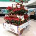 Impulsa gobierno de Puebla comercialización de nochebuena en tiendas Chedraui