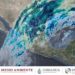 El ingreso del frente frío número 35 ocasionará lluvias muy fuertes en Durango, Guanajuato, Michoacán, Nayarit, Sinaloa y Tamaulipas