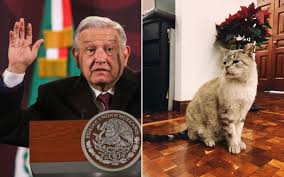 AMLO recibe felicitación de PETA por proteger y alimentar a los gatos de Palacio Nacional