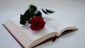 ¿Por qué se regalan rosas y libros en abril? Te contamos la razón