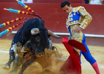 ¿Tortura animal o bien cultural? Se enciende el debate sobre la tauromaquia en España