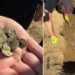 Una mujer halla un “inimaginable” tesoro medieval paseando por el campo