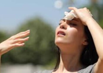 Ola de calor: cuidados básicos para la familia ante el riesgo más importante del año