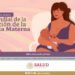Leche materna genera anticuerpos y defensas contra enfermedades en la persona recién nacida