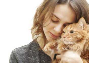 La energía sanadora de los gatos