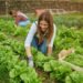 Agricultura regenerativa, el futuro de la nutrición