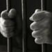 Por violencia familiar, cuatro personas fueron vinculadas a proceso
