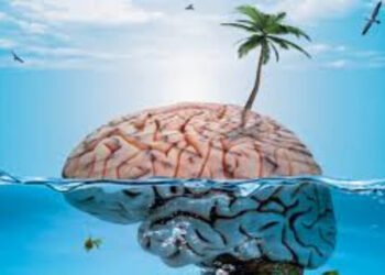 ¿QUE LE PASA AL CEREBRO CUANDO VIAJAMOS Y CONOCEMOS OTROS LUGARES?