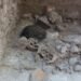 Investigaciones sobre un enterramiento múltiple de Uxul, en Campeche, dan forma a una exposición inédita