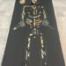 El INAH presenta a “El hombre de Bilbao”, descubierto en el desierto de Coahuila