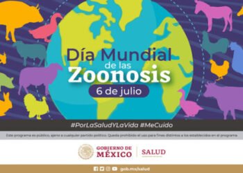 Cuidado de mascotas y limpieza de viviendas evita enfermedades zoonóticas como las rickettsiosis