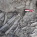 Hallan en Turquía un entierro sellado de 12.000 años de antigüedad