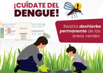 Continúa Izúcar de Matamoros con el mayor número de casos de dengue: Salud