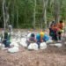 Reubican milenario conjunto palaciego en inmediaciones de la estación Calakmul del Tren Maya