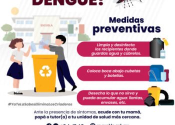 Registran 51 municipios de Puebla casos de dengue: Salud