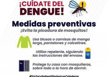 Registra Puebla 45 nuevos casos de dengue: Salud