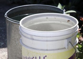 Acumula Puebla 2 mil 439 contagios por dengue en el año