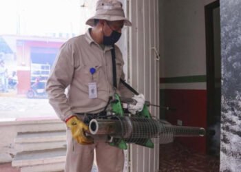 Acumula Puebla 2 mil 923 casos por dengue en 2024