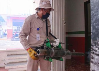 Registran 60 municipios de Puebla casos de dengue: Salud