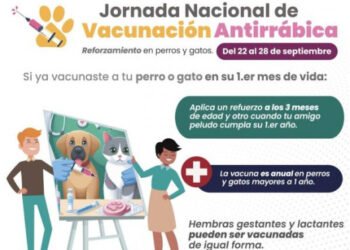 Anuncia Salud reforzamiento de vacunación antirrábica para perros y gatos