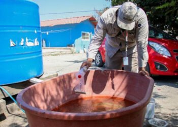 Hay 77 municipios de Puebla con casos de dengue: Salud