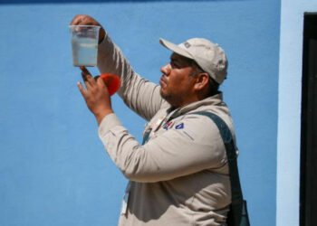 Ingresan 19 personas a hospitalización por dengue en las últimas 24 horas: Salud