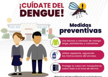 Acumula Puebla 3 mil 462 casos de dengue en lo que va de 2024: Salud