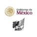 UNA JOVEN MEXICANA SERÁ EL EMBLEMA DE LA PRIMERA MUJER PRESIDENTA DE MÉXICO, CLAUDIA SHEINBAUM PARDO