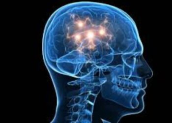 Dopamina, el neurotransmisor que nos da la felicidad, pero también nos la quita