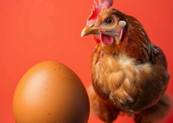 ¿El huevo o la gallina primero? Científicos podrían haber descifrado el misterio