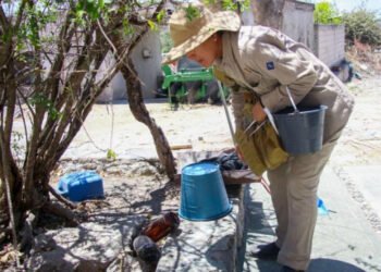 De enero a la fecha, 80 municipios de Puebla registraron dengue: Salud