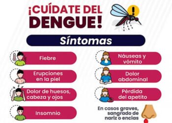 Mantiene Puebla presencia de dengue en 80 municipios: Salud