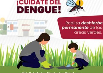Sin defunciones ni contagios por dengue en las últimas 24 horas: Salud