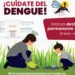 Sin defunciones ni contagios por dengue en las últimas 24 horas: Salud