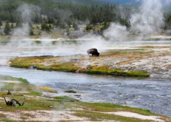 El ‘volcán del Juicio Final’: Qué sabemos sobre la caldera de Yellowstone