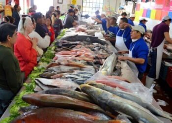 Salud intensifica vigilancia sanitaria al cierre de Cuaresma