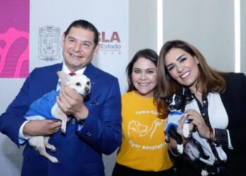 Bienestar Animal y municipios trabajan para proteger a seres sintientes