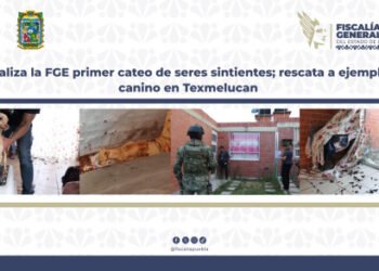Realiza la FGE primer cateo de seres sintientes; rescata ejemplar canino en Texmelucan