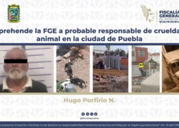 Aprehende la FGE a probable responsable de crueldad animal en la ciudad de Puebla